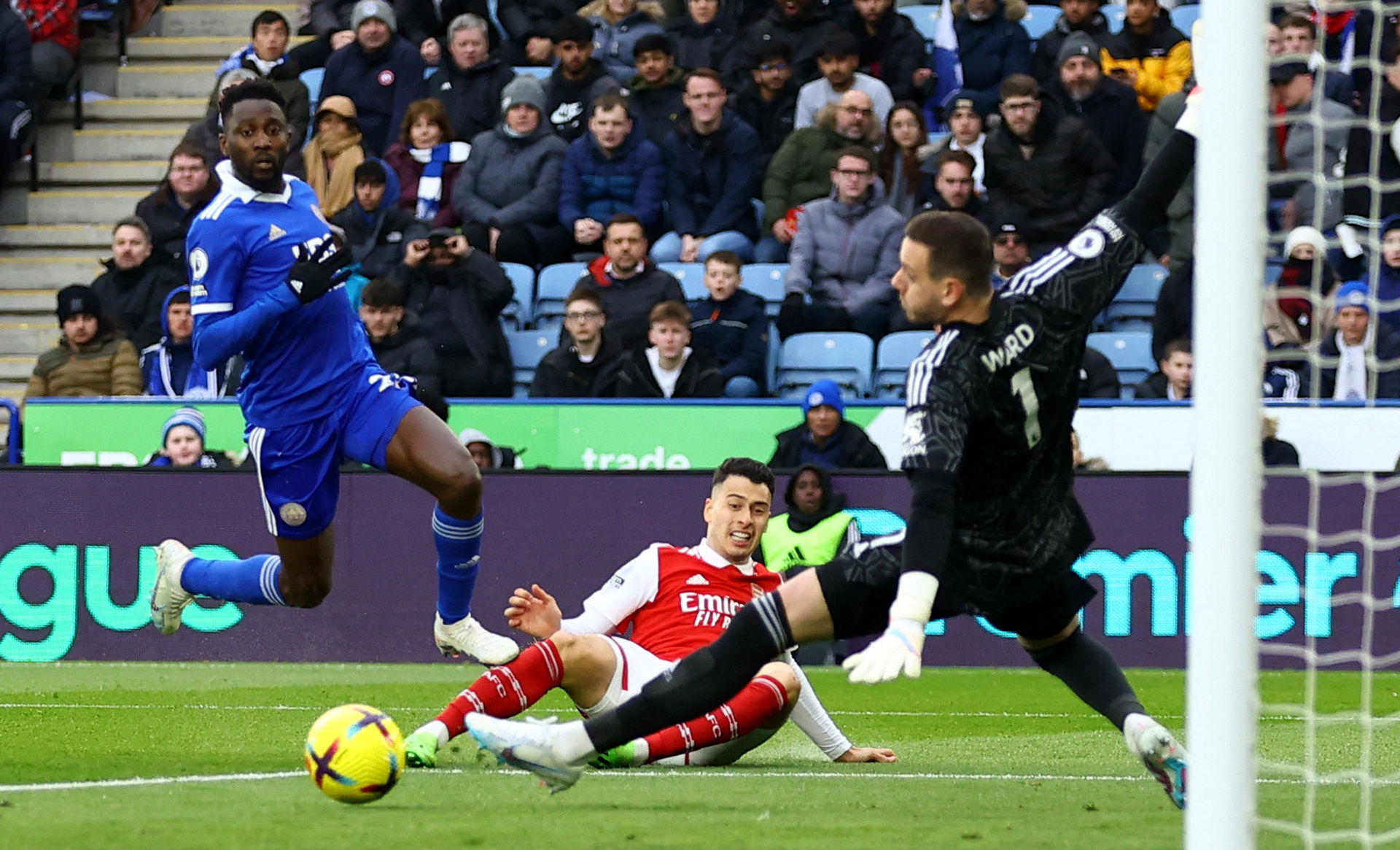 迷们的广泛 迷们的广泛