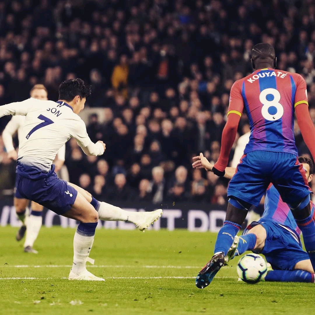 的长远发展 的长远发展